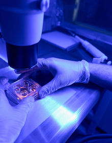 سلول درمانی و پزشکی بازساختی - مقدماتی